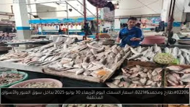 اسعار السمك اليوم