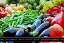 اسعار الخضروات اليوم