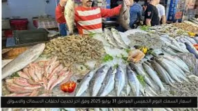 اسعار السمك اليوم 