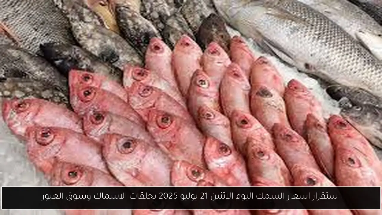 اسعار السمك اليوم