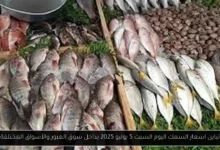اسعار السمك اليوم