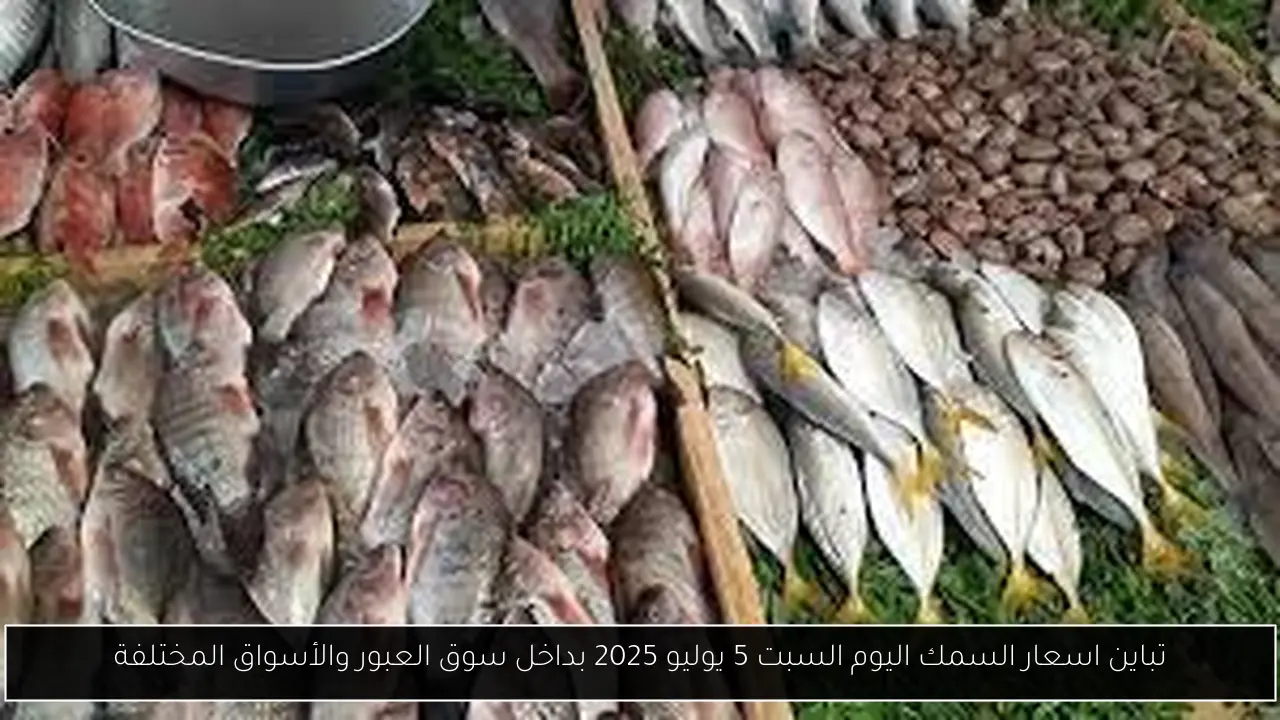 اسعار السمك اليوم