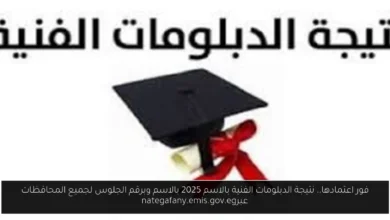 نتيجة الدبلومات الفنية بالاسم 2025