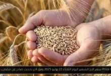 سعر الارز الشعير اليوم