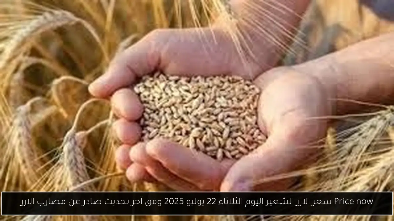 سعر الارز الشعير اليوم