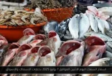 اسعار السمك اليوم