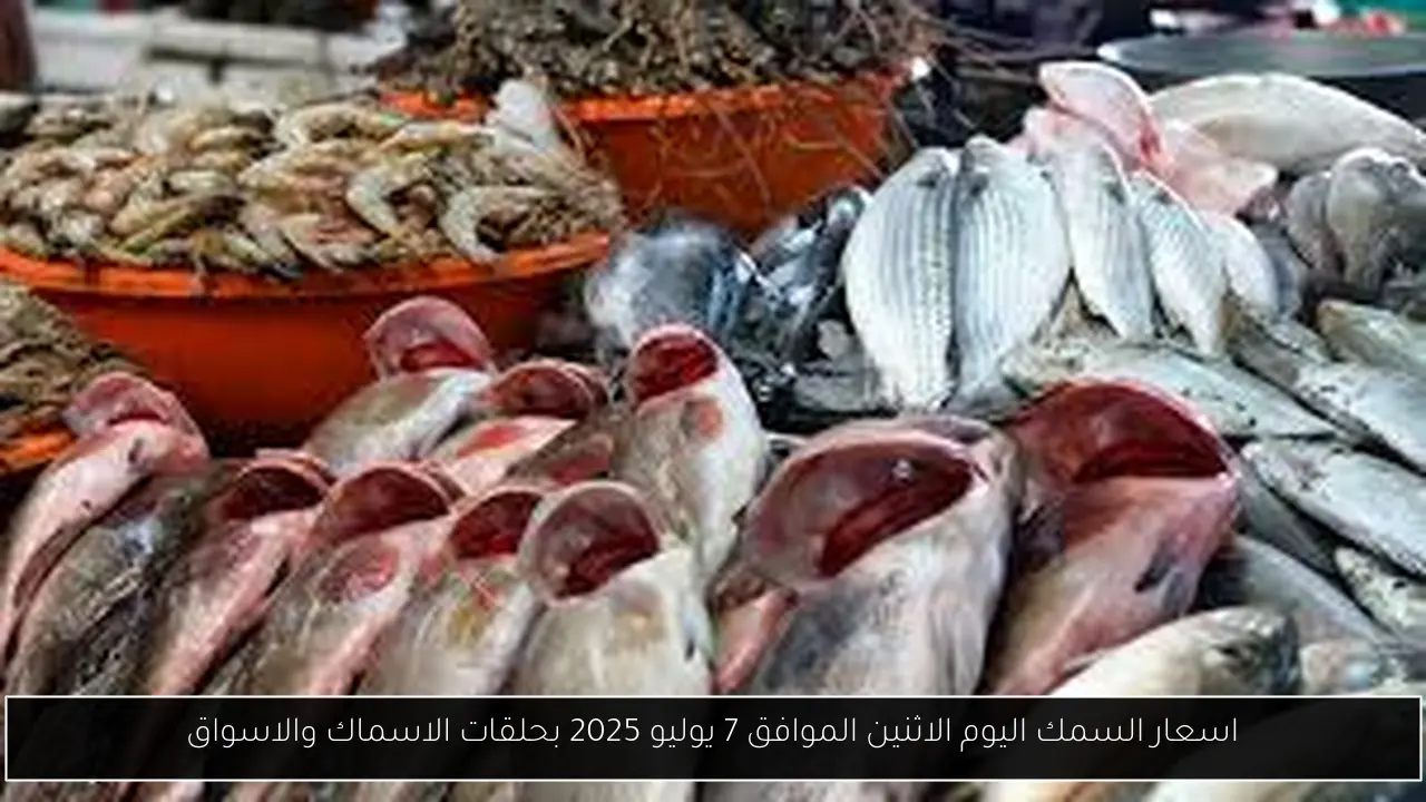 اسعار السمك اليوم