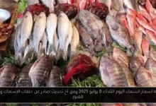 اسعار السمك اليوم