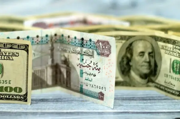 سعر الدولار مقابل الجنيه المصري اليوم