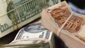 سعر الدولار مقابل الجنيه المصري في السوق السوداء