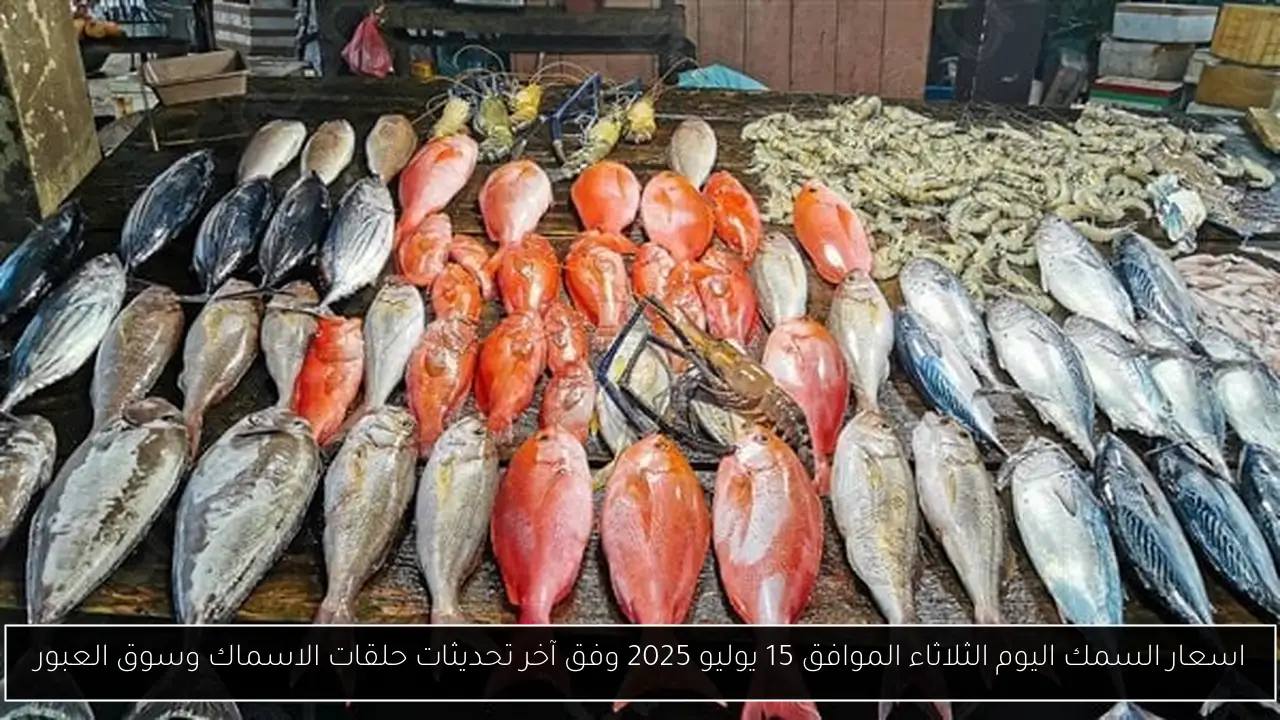 اسعار السمك اليوم
