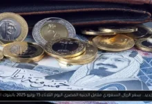 سعر الريال السعودي مقابل الجنيه المصري