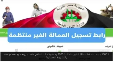 منحة العمالة الغير منتظمة 2025