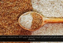 سعر طن الارز الشعير الآن