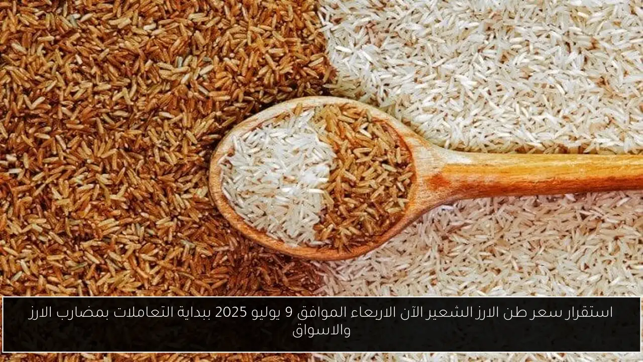 سعر طن الارز الشعير الآن