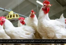 بورصة الدواجن اليوم أسعار الفراخ البيضاء