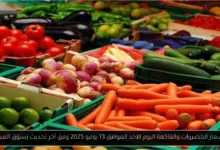 اسعار الخضروات والفاكهة اليوم