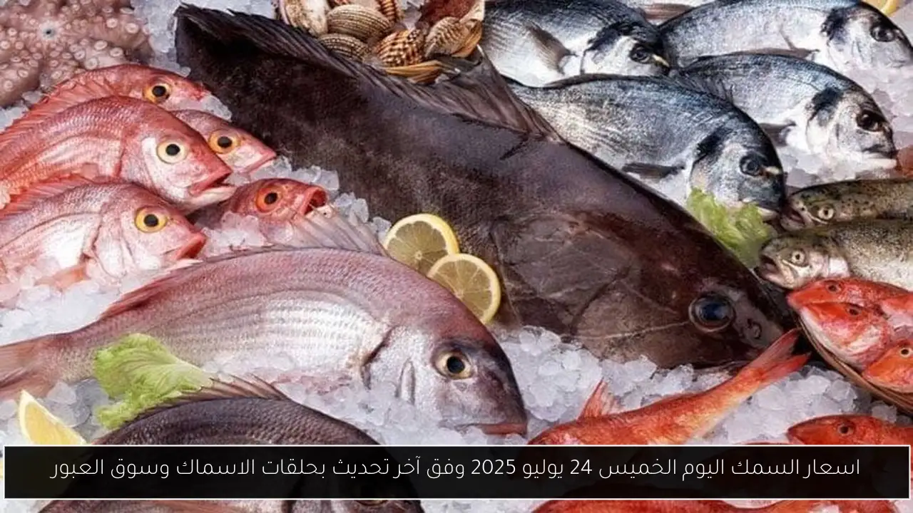 اسعار السمك اليوم