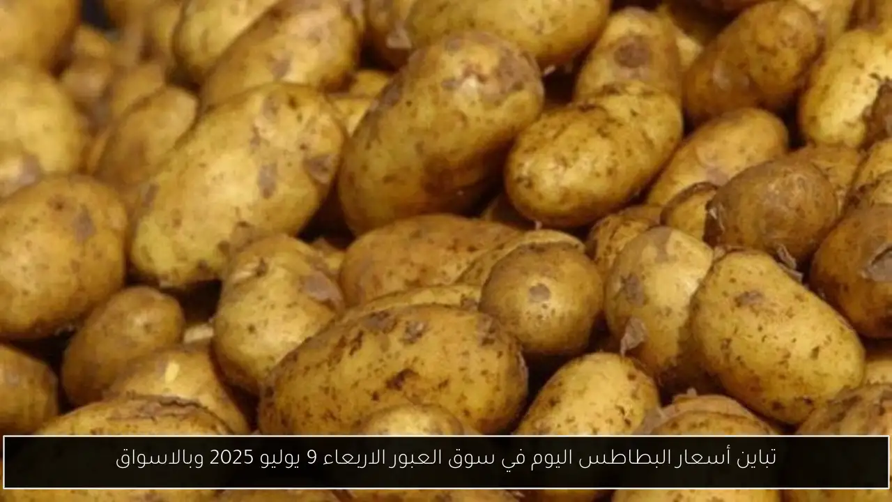 أسعار البطاطس اليوم في سوق العبور