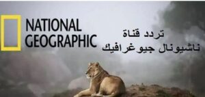 تردد قناة ناشيونال جيوغرافيك نايل سات 2025