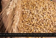 سعر الارز الشعير اليوم 