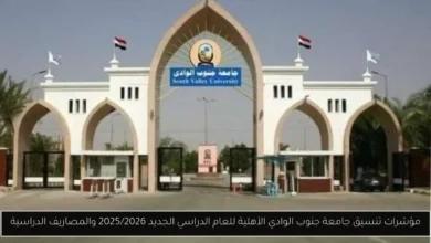 تنسيق جامعة جنوب الوادي الأهلية