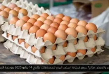 سعر كرتونة البيض اليوم للمستهلك