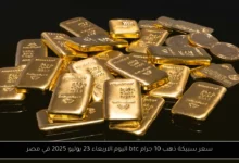 سعر سبيكة ذهب 10 جرام btc اليوم