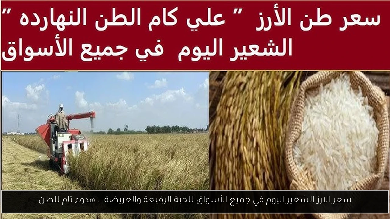 سعر الارز الشعير اليوم