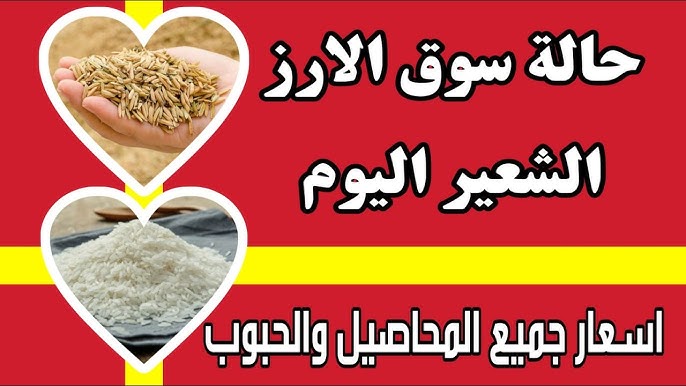 سعر الارز الشعير اليوم
