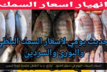 اسعار السمك اليوم في سوق العبور