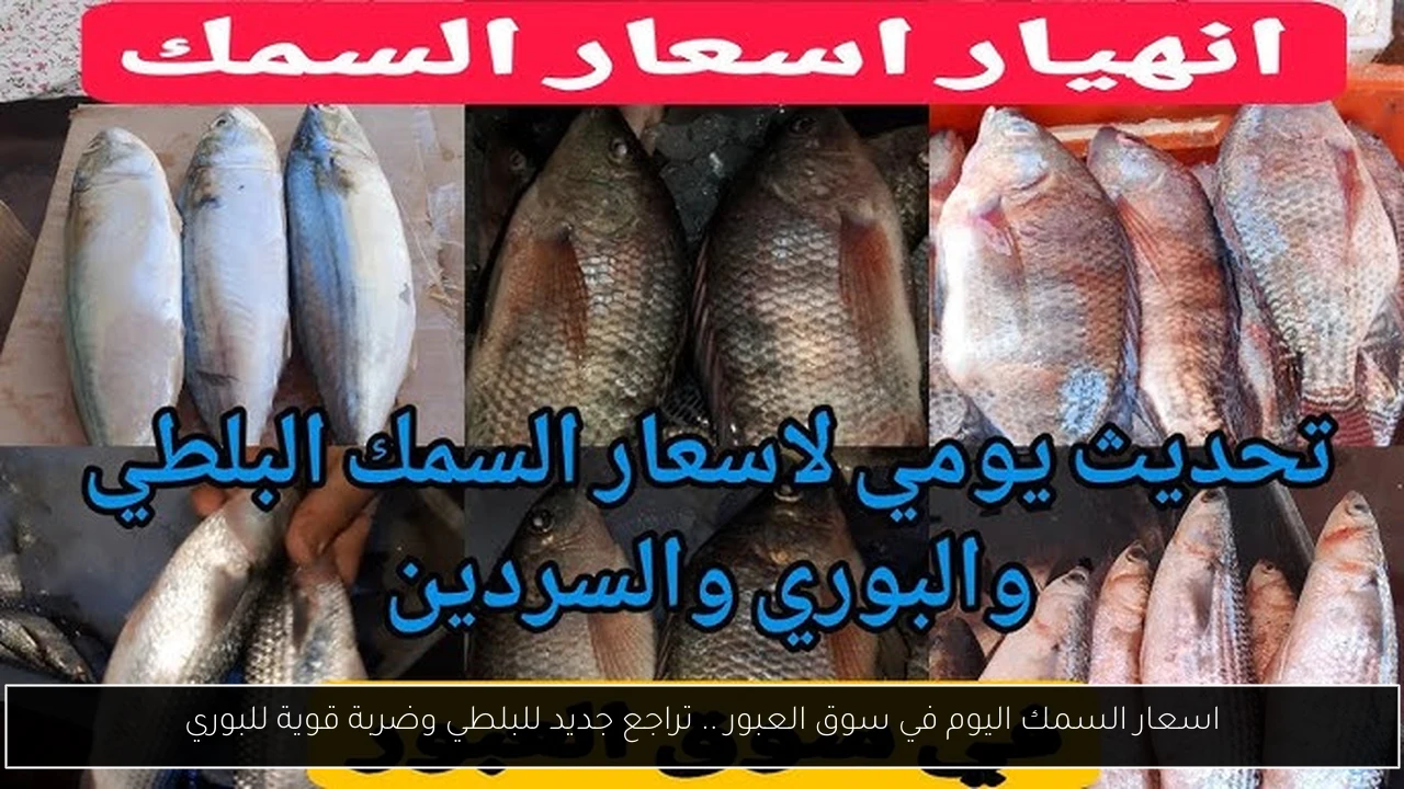 اسعار السمك اليوم في سوق العبور
