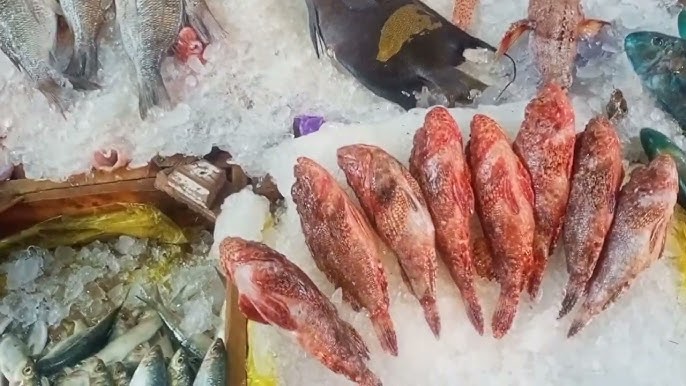اسعار السمك اليوم في سوق العبور