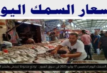 اسعار السمك اليوم