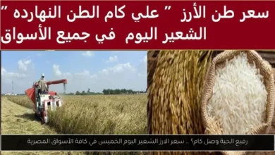 سعر الارز الشعير اليوم