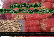 أسعار البطاطس اليوم في سوق العبور