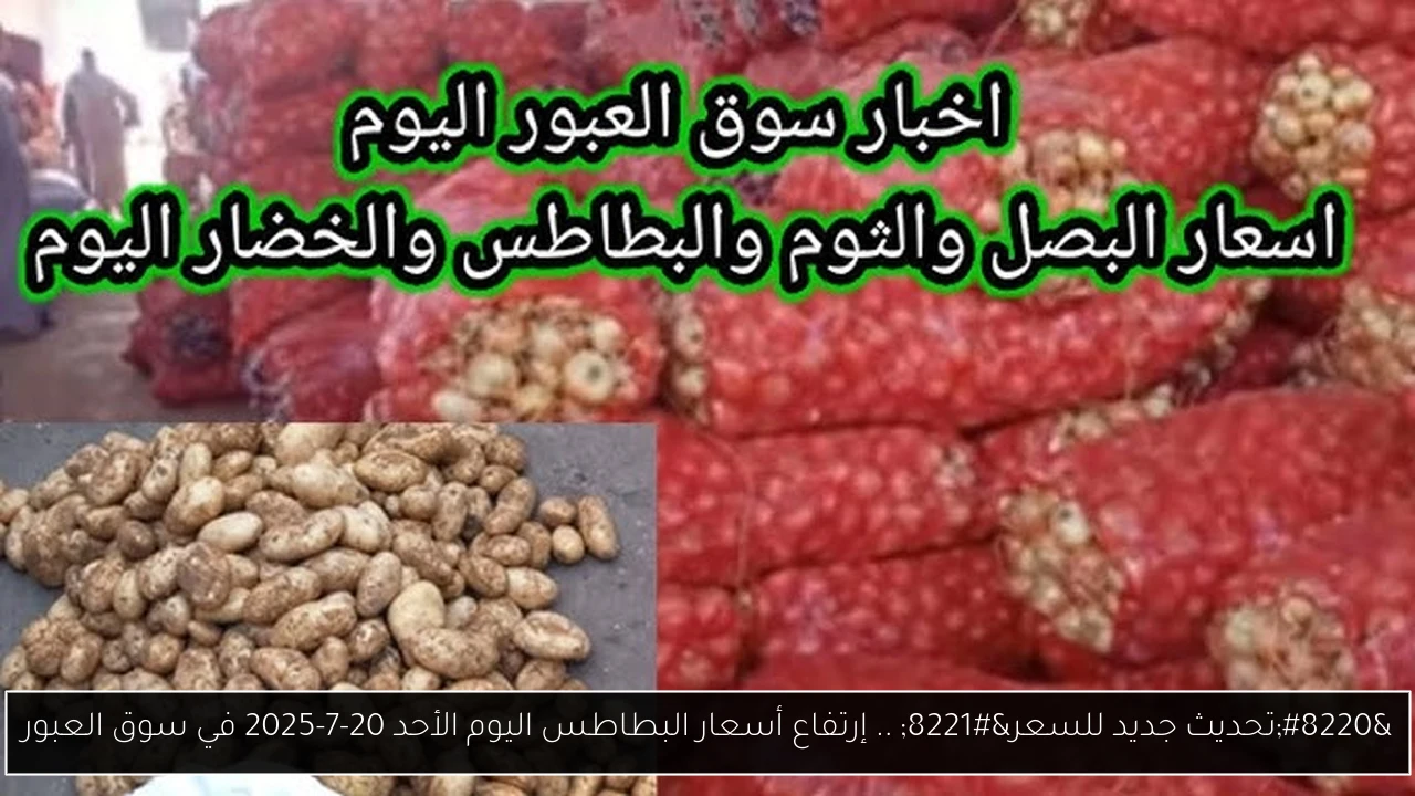 أسعار البطاطس اليوم في سوق العبور