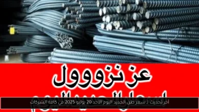سعر طن الحديد اليوم