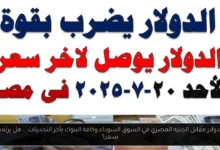 سعر الدولار مقابل الجنيه المصري في السوق السوداء
