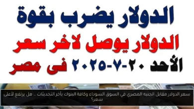 سعر الدولار مقابل الجنيه المصري في السوق السوداء