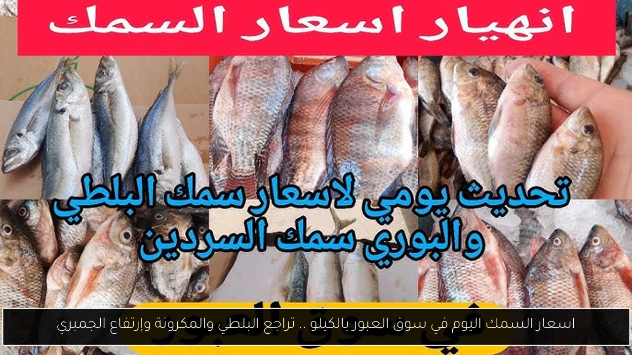 اسعار السمك اليوم في سوق العبور