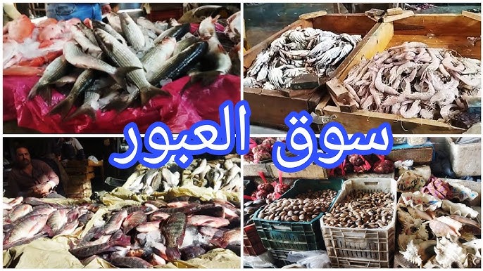 اسعار السمك اليوم في سوق العبور