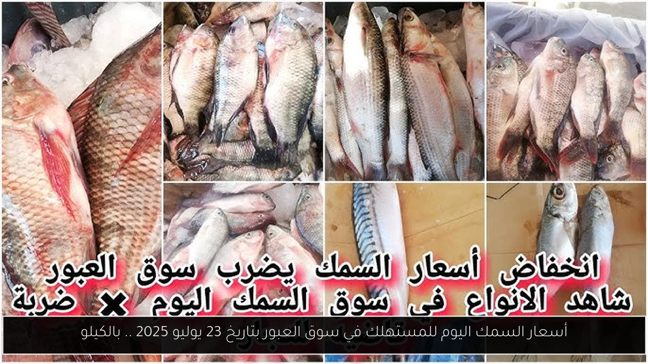 أسعار السمك اليوم للمستهلك