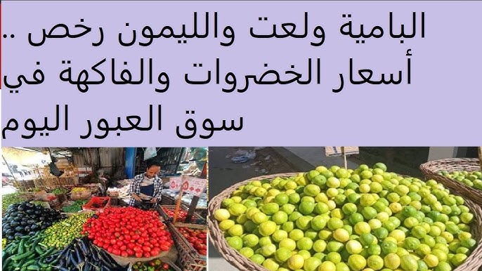 اسعار الخضروات اليوم