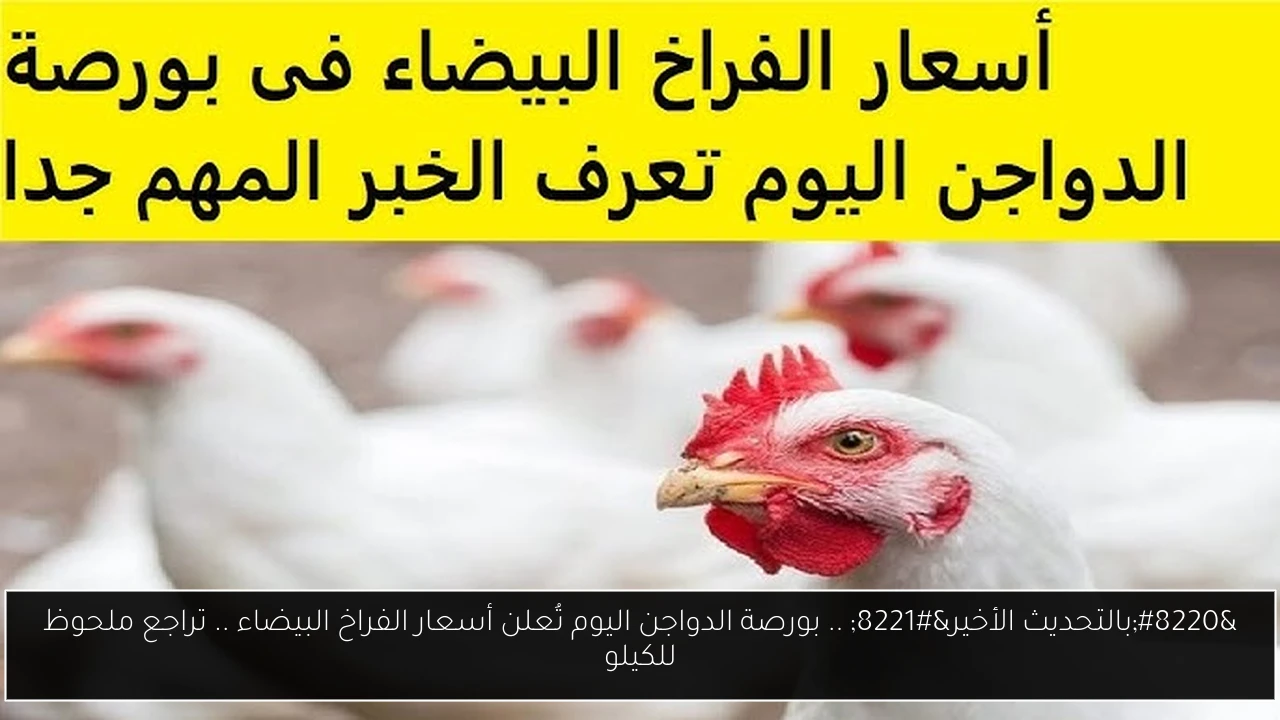 بورصة الدواجن اليوم أسعار الفراخ البيضاء