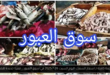 اسعار السمك اليوم