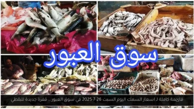 اسعار السمك اليوم