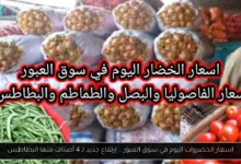 اسعار الخضروات اليوم في سوق العبور
