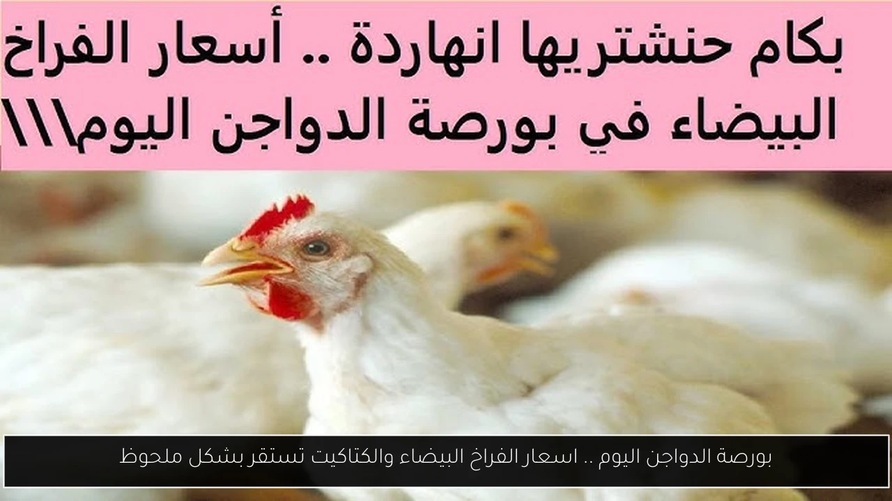 بورصة الدواجن اليوم اسعار الفراخ البيضاء