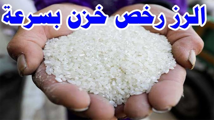 سعر طن الارز الشعير اليوم